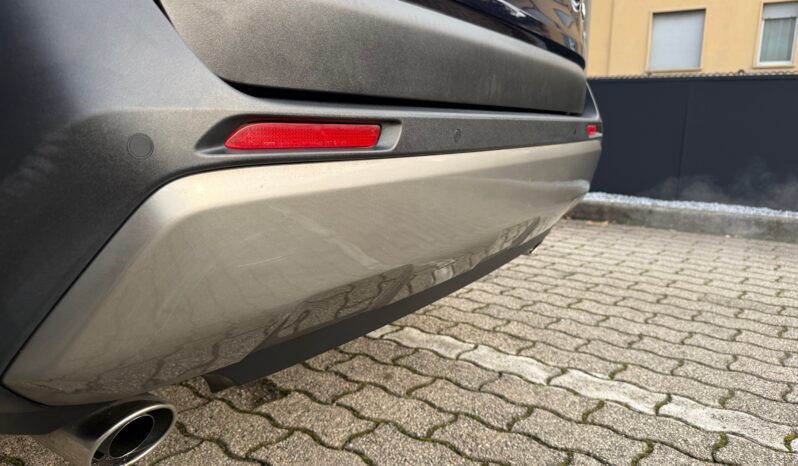 Toyota Rav-4 2.5 Hybrid vvt-ie 222cv AWD e-cvt Adventure full